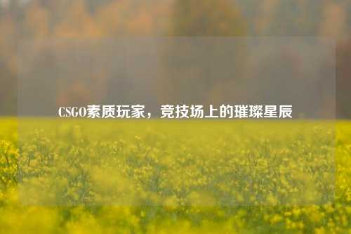 CSGO素质玩家,竞技场上的璀璨星辰