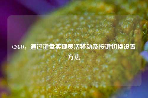 CSGO,通过键盘实现灵活移动及按键切换设置方法