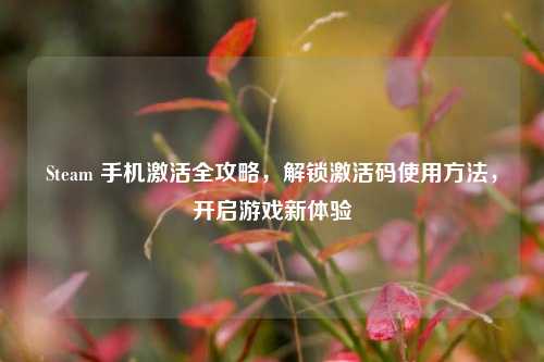 Steam 手机激活全攻略，解锁激活码使用方法，开启游戏新体验