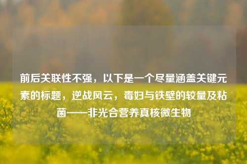 前后关联性不强,以下是一个尽量涵盖关键元素的标题,逆战风云,毒妇与铁壁的较量及粘菌——非光合营养真核微生物