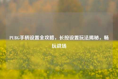 PUBG手柄设置全攻略，长按设置玩法揭秘，畅玩战场