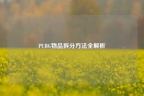 PUBG物品拆分方法全解析