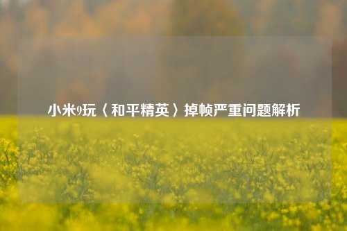 小米9玩〈和平精英〉掉帧严重问题解析