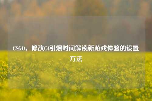 CSGO,修改C4引爆时间解锁新游戏体验的设置方法