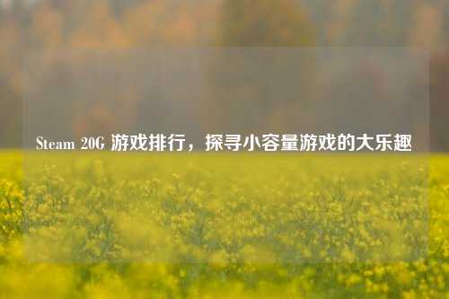 Steam 20G 游戏排行,探寻小容量游戏的大乐趣