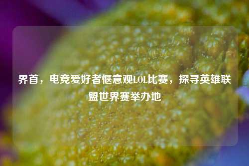 界首,电竞爱好者惬意观LOL比赛,探寻英雄联盟世界赛举办地