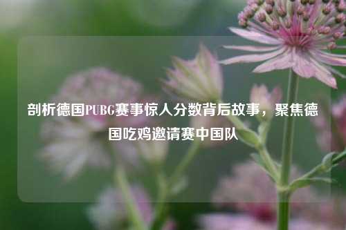 剖析德国PUBG赛事惊人分数背后故事，聚焦德国吃鸡邀请赛中国队
