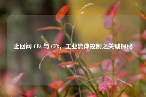 止回阀 CF3 与 CF8,工业流体控制之关键探秘