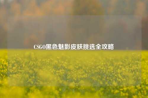 CSGO黑色魅影皮肤挑选全攻略