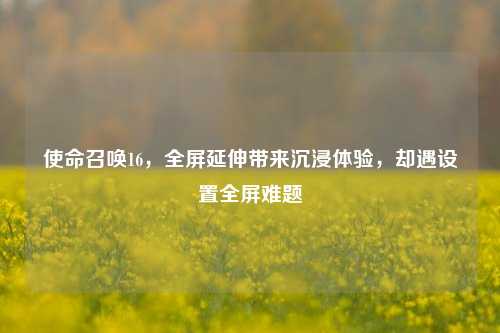 使命召唤16,全屏延伸带来沉浸体验,却遇设置全屏难题