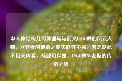 中人体结构几何体速写与前文CSGO界的风云人物,NV老板的传奇之路关联性不强,若忽略此不相关内容,标题可以是,CSGO界NV老板的传奇之路