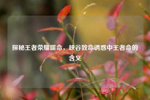 探秘王者荣耀噬命，峡谷致命诱惑中王者命的含义