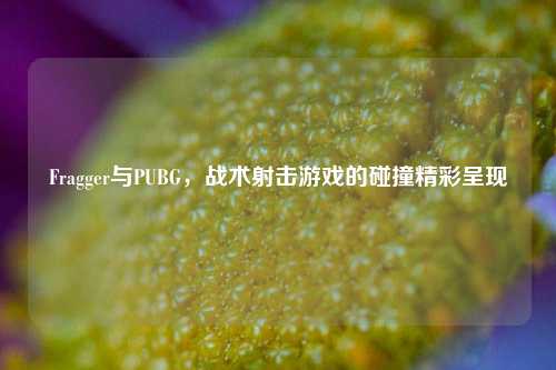 Fragger与PUBG,战术射击游戏的碰撞精彩呈现