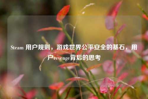 Steam 用户规则,游戏世界公平安全的基石,用户revenge背后的思考