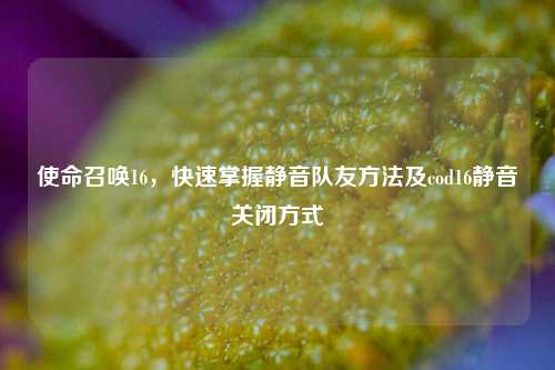 使命召唤16,快速掌握静音队友方法及cod16静音关闭方式