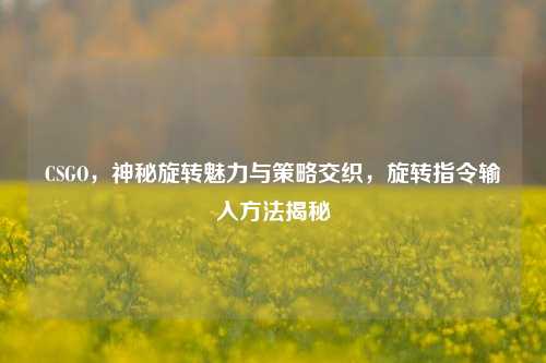 CSGO,神秘旋转魅力与策略交织,旋转指令输入方法揭秘