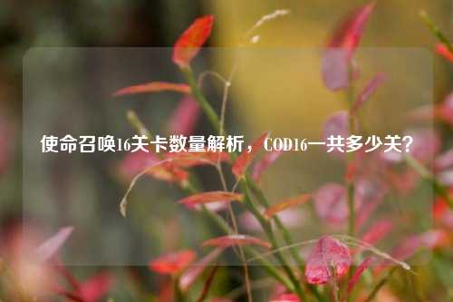 使命召唤16关卡数量解析,COD16一共多少关?
