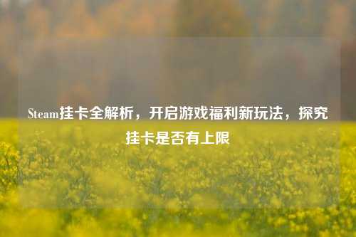 Steam挂卡全解析,开启游戏福利新玩法,探究挂卡是否有上限