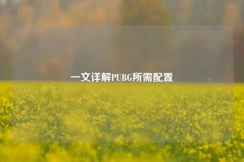 一文详解PUBG所需配置