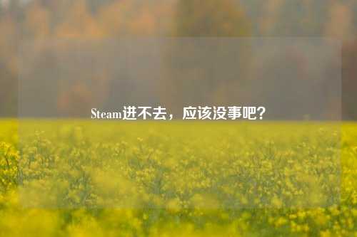 Steam进不去，应该没事吧？