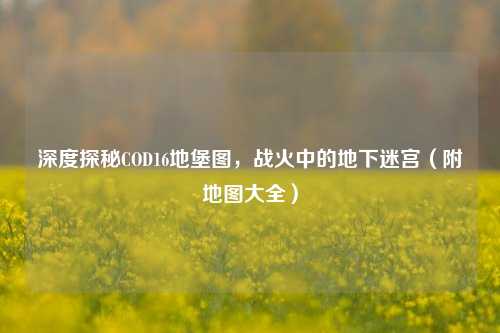 深度探秘COD16地堡图,战火中的地下迷宫(附地图大全)