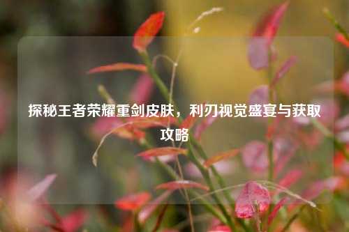 探秘王者荣耀重剑皮肤，利刃视觉盛宴与获取攻略