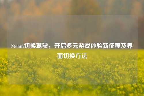 Steam切换驾驶，开启多元游戏体验新征程及界面切换方法