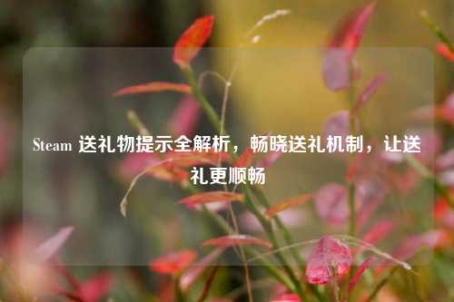 Steam 送礼物提示全解析，畅晓送礼机制，让送礼更顺畅