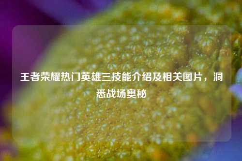 王者荣耀热门英雄三技能介绍及相关图片，洞悉战场奥秘