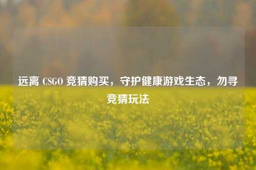 远离 CSGO 竞猜购买,守护健康游戏生态,勿寻竞猜玩法