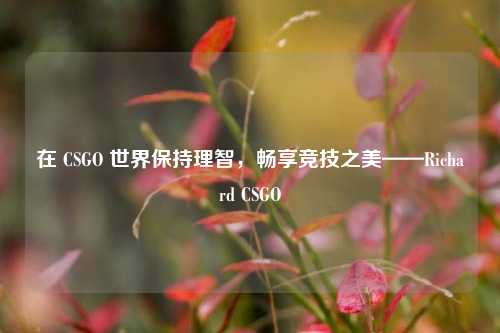 在 CSGO 世界保持理智，畅享竞技之美——Richard CSGO