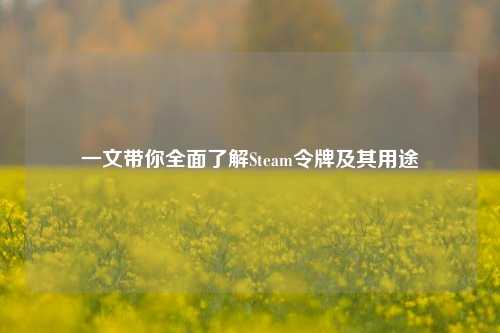 一文带你全面了解Steam令牌及其用途