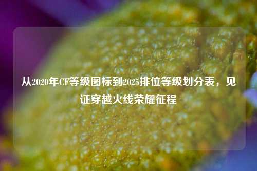从2020年CF等级图标到2025排位等级划分表,见证穿越火线荣耀征程
