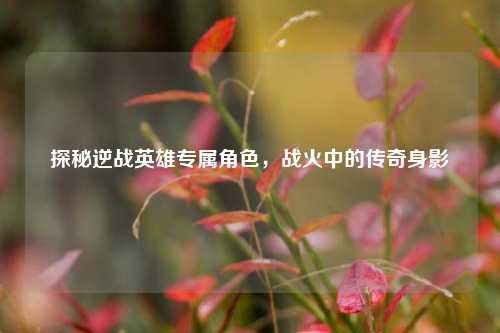探秘逆战英雄专属角色，战火中的传奇身影