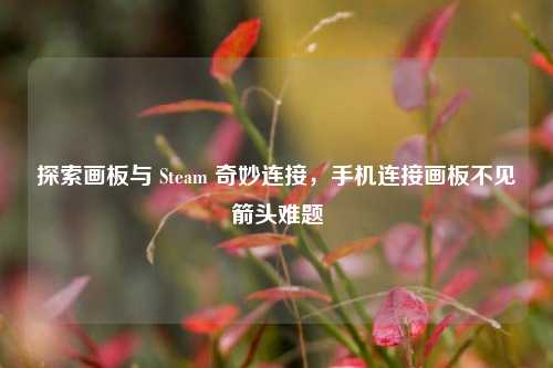 探索画板与 Steam 奇妙连接,手机连接画板不见箭头难题