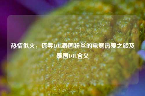 热情似火,探寻LOL泰国粉丝的电竞热爱之旅及泰国LOL含义