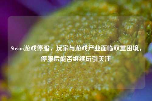 Steam游戏停服,玩家与游戏产业面临双重困境,停服后能否继续玩引关注