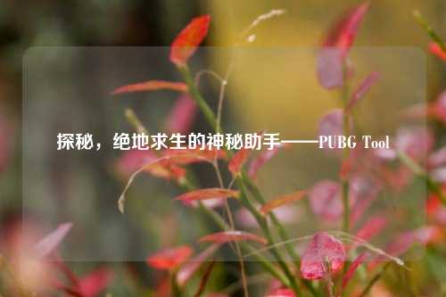 探秘,绝地求生的神秘助手——PUBG Tool