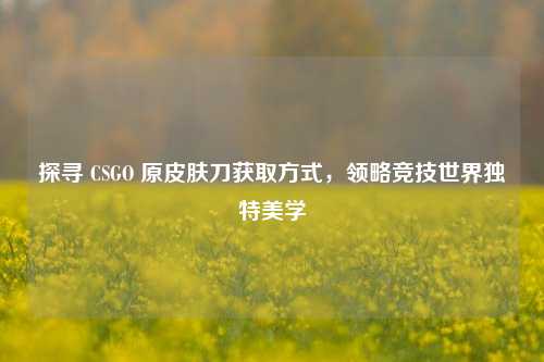 探寻 CSGO 原皮肤刀获取方式，领略竞技世界独特美学