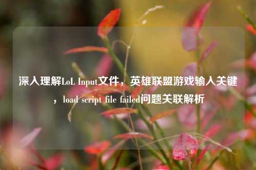 深入理解LoL Input文件,英雄联盟游戏输入关键,load script file failed问题关联解析