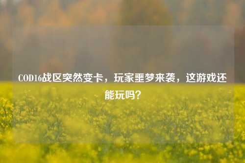 COD16战区突然变卡,玩家噩梦来袭,这游戏还能玩吗?