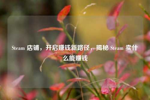 Steam 店铺,开启赚钱新路径,揭秘 Steam 卖什么能赚钱