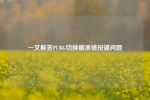 一文解答PUBG切换瞄准镜按键问题