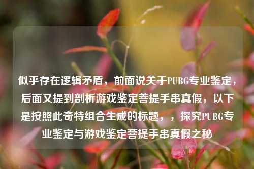 似乎存在逻辑矛盾,前面说关于PUBG专业鉴定,后面又提到剖析游戏鉴定菩提手串真假,以下是按照此奇特组合生成的标题,,探究PUBG专业鉴定与游戏鉴定菩提手串真假之秘