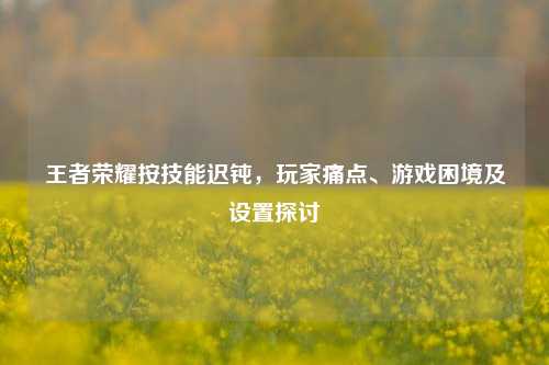 王者荣耀按技能迟钝，玩家痛点、游戏困境及设置探讨