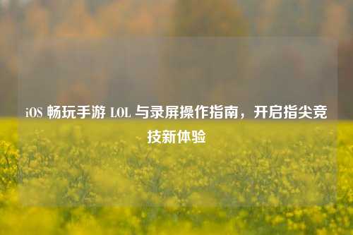 iOS 畅玩手游 LOL 与录屏操作指南,开启指尖竞技新体验