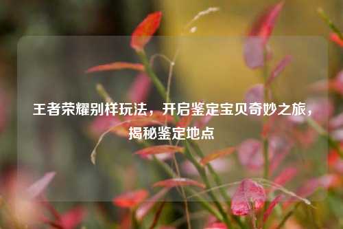 王者荣耀别样玩法,开启鉴定宝贝奇妙之旅,揭秘鉴定地点