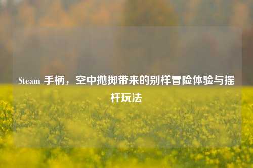 Steam 手柄，空中抛掷带来的别样冒险体验与摇杆玩法