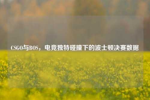 CSGO与BOS,电竞独特碰撞下的波士顿决赛数据