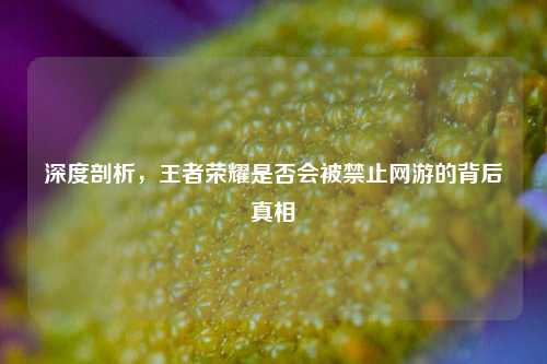 深度剖析,王者荣耀是否会被禁止网游的背后真相